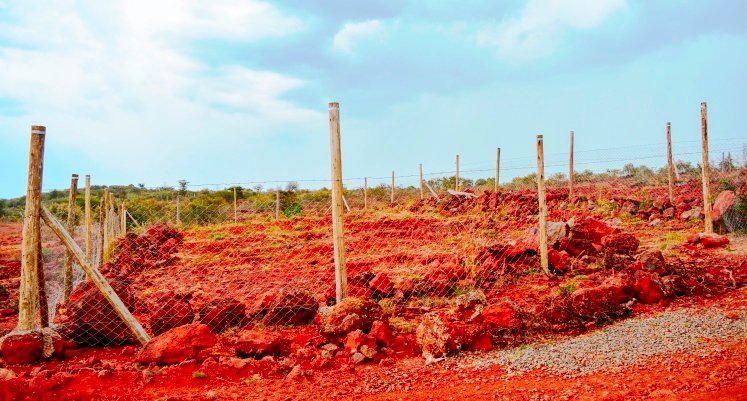 land and plots consultancy
