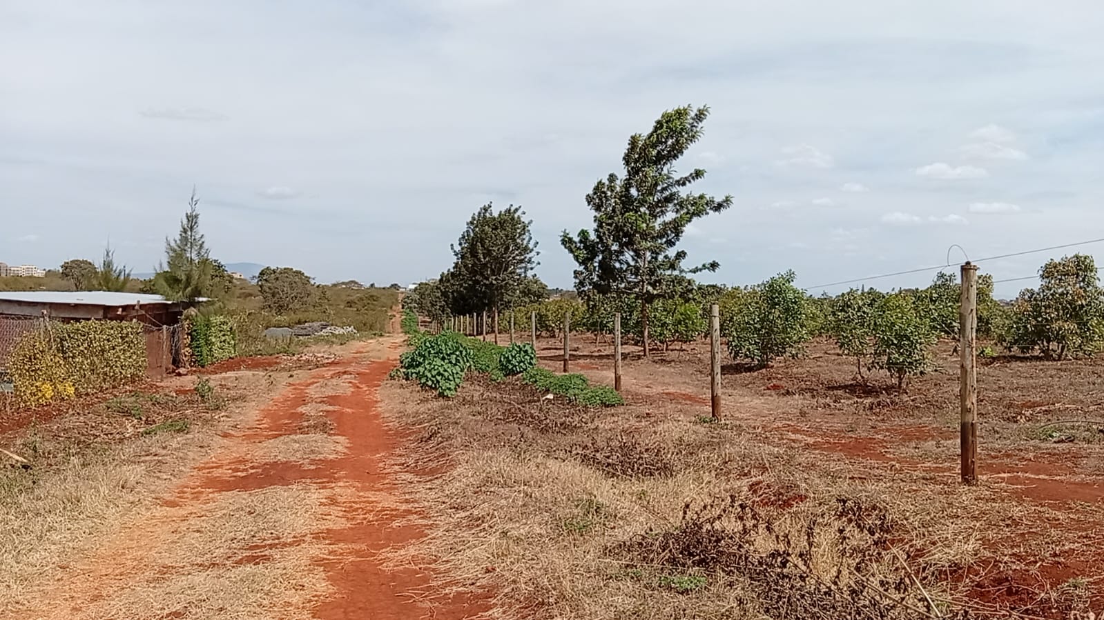 50 100 Plots For Sale in Ngoigwa Kiambu (1)