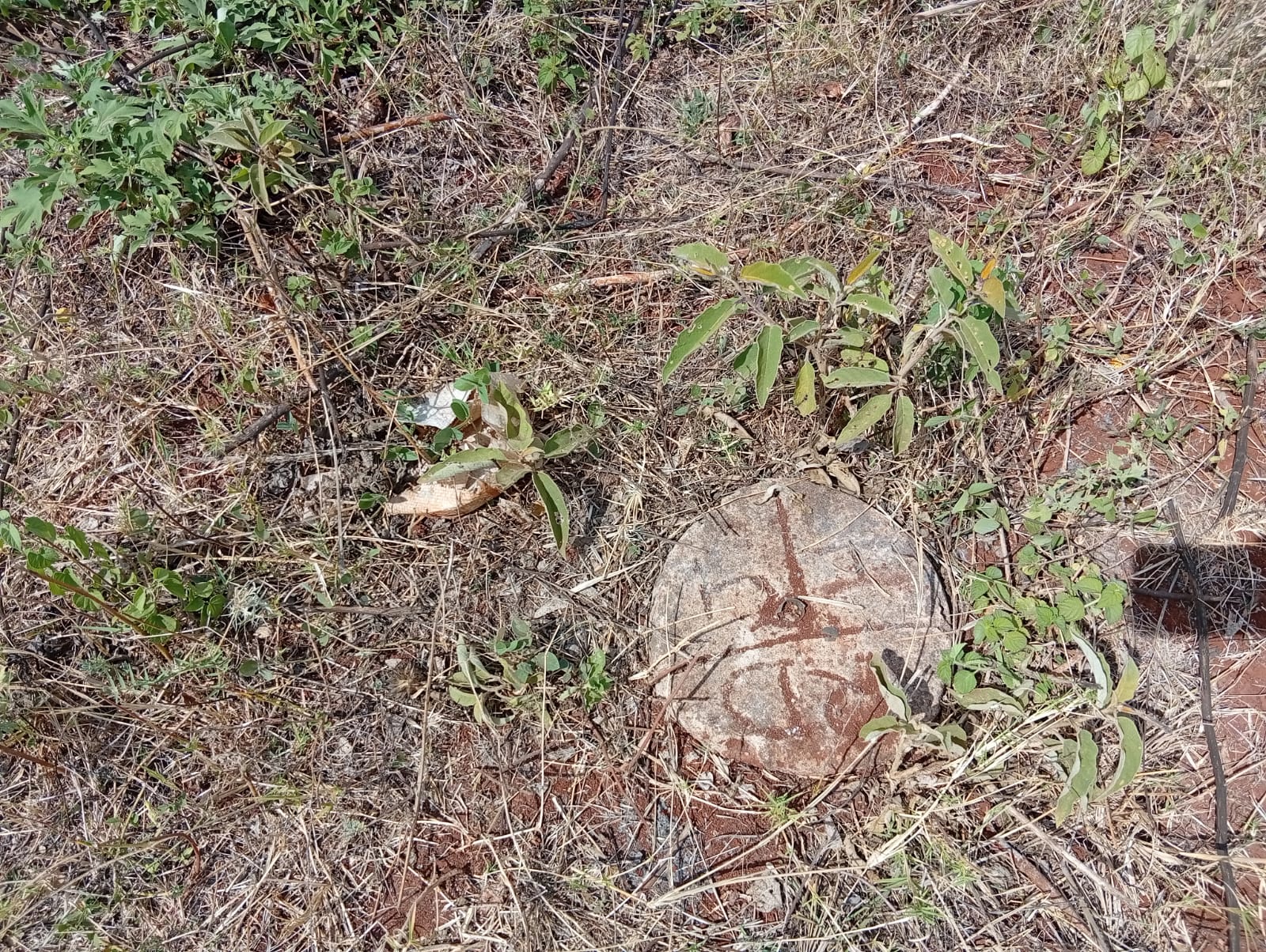50 100 Plots For Sale in Ngoigwa Kiambu (4)