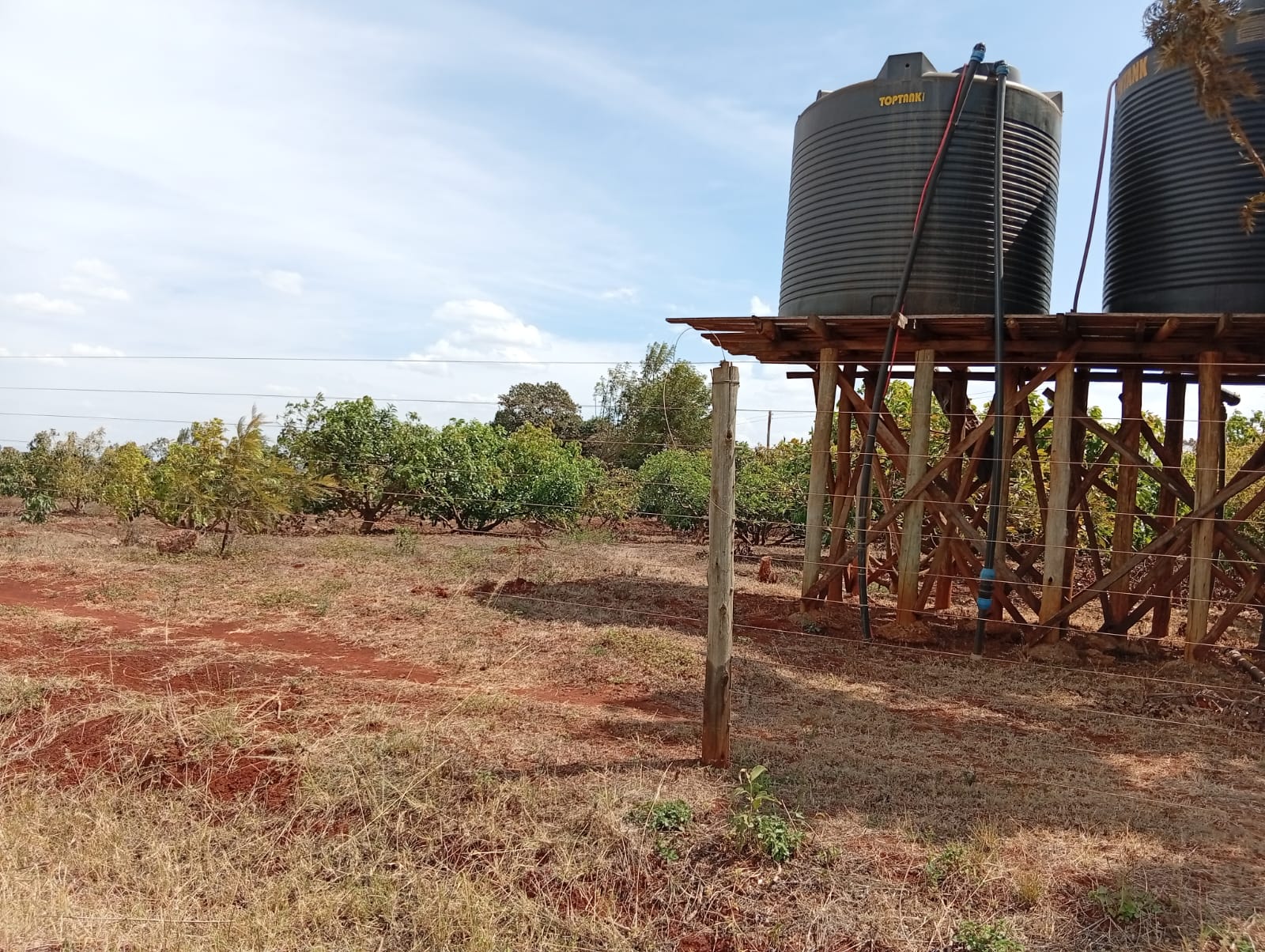 50 100 Plots For Sale in Ngoigwa Kiambu (6)